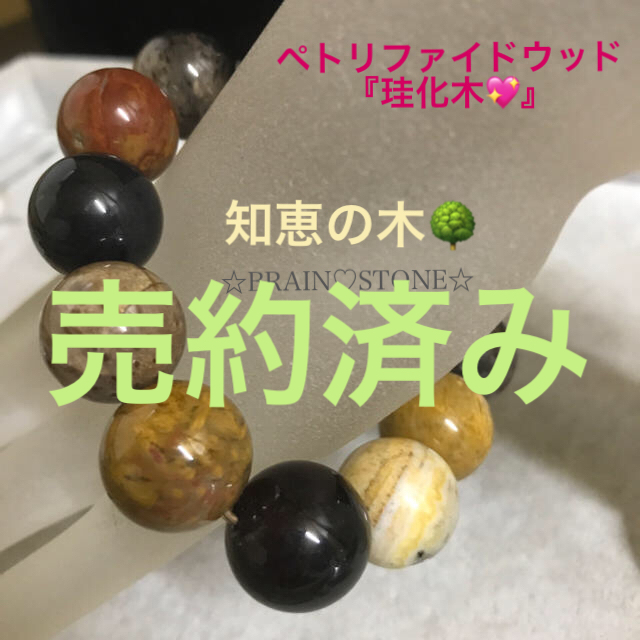 週間売れ筋 P3☆特選一品☆希少☆格安☆木の化石【17mmペトリファイド