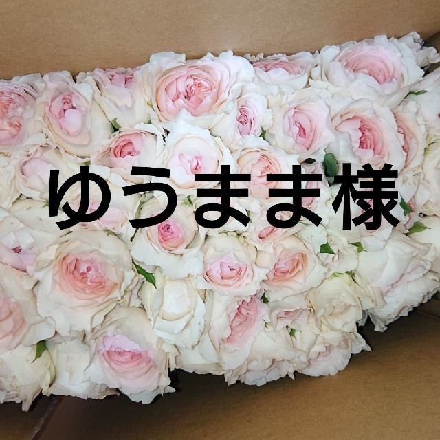 ゆうまま様 専用です❤️ 薔薇 バラ レフレーズ 20本 | フリマアプリ ラクマ