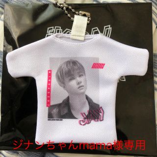 アイコン(iKON)のミニフォトTキーホルダー(アイドルグッズ)