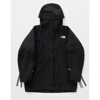 ザノースフェイス(THE NORTH FACE)のGTX PRO Ski Jacket ノースフェイス ハイク(ナイロンジャケット)