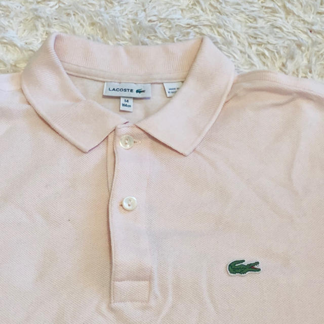 LACOSTE(ラコステ)のラコステ ポロシャツ Mサイズ レディースのトップス(ポロシャツ)の商品写真