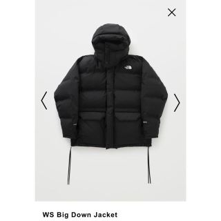 HYKE THE NORTH FACE WS BIG DOWN MEN'S M