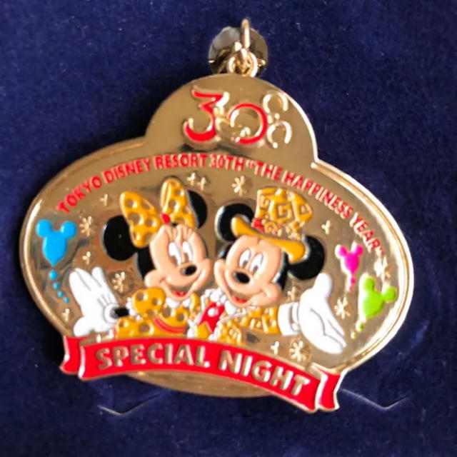 Disney(ディズニー)のDisney Resort 30th☆スペシャルナイト☆非売記念チャーム レディースのアクセサリー(チャーム)の商品写真