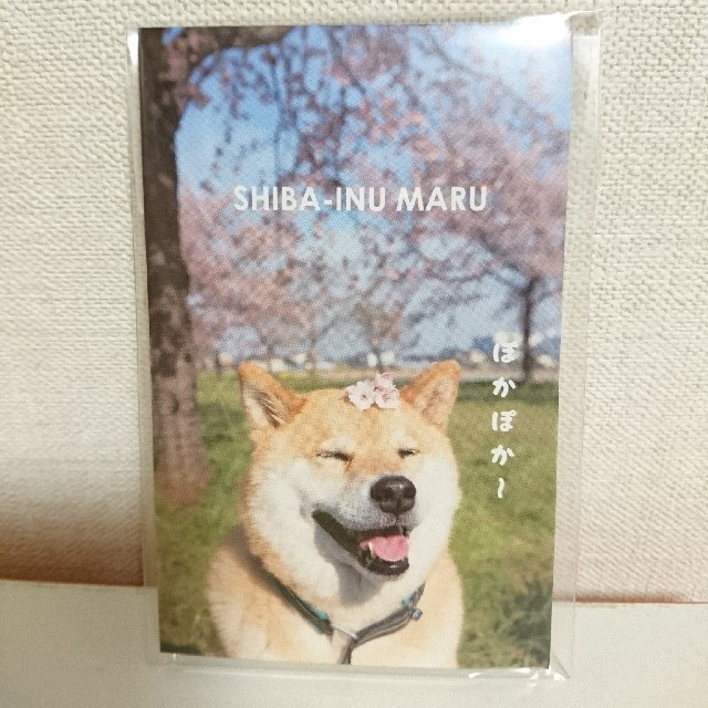 柴犬まるちゃん◆プチ袋 エンタメ/ホビーのおもちゃ/ぬいぐるみ(キャラクターグッズ)の商品写真