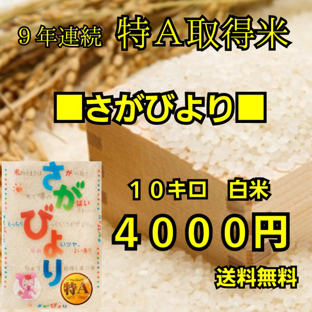 【数量限定】【即日発送】佐賀県産さがびより10キロ