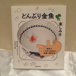 どんぶり金魚の楽しみ方(小動物)