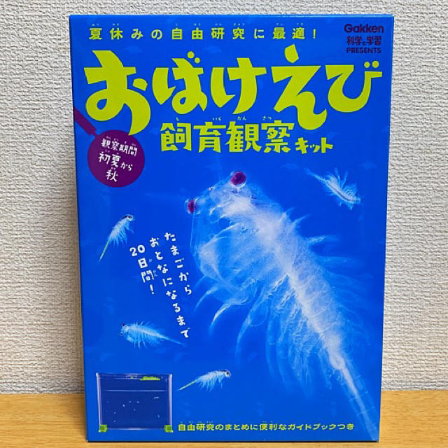 学研(ガッケン)のおばけえび 飼育観察キット 学研 Gakken その他のペット用品(アクアリウム)の商品写真