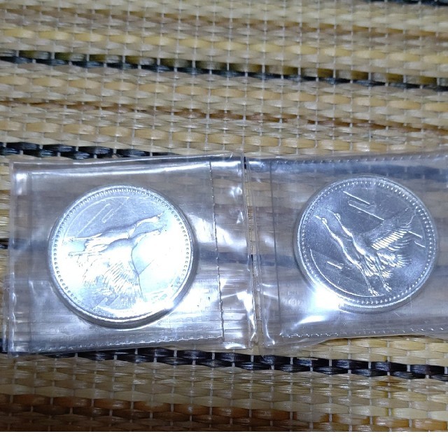 今週日曜日まで!皇太子御成婚記念硬貨 5000円 五千円 銀貨 今週日曜日まで!皇太子御成婚記念硬貨 5000円 五千円 銀貨
