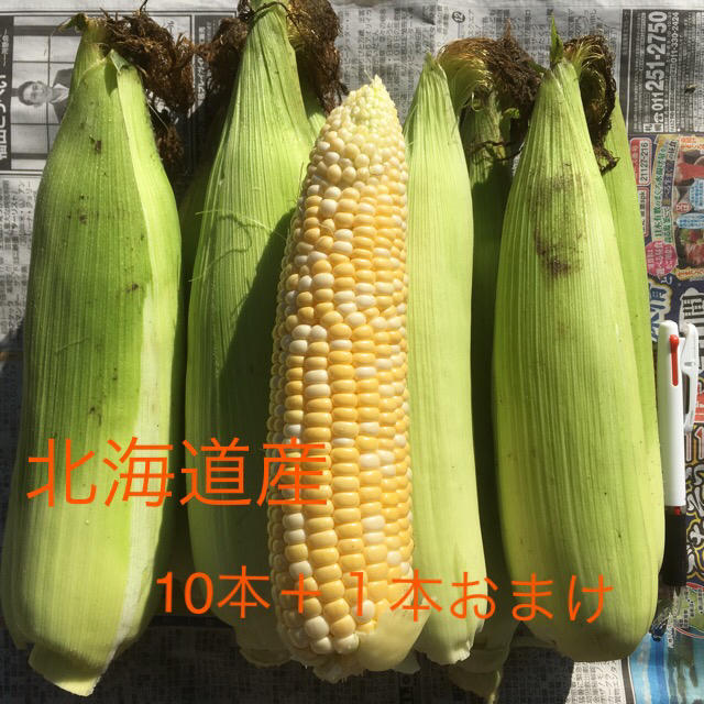 北海道産とうもろこし 食品/飲料/酒の食品(野菜)の商品写真