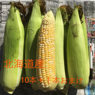 北海道産とうもろこし(野菜)