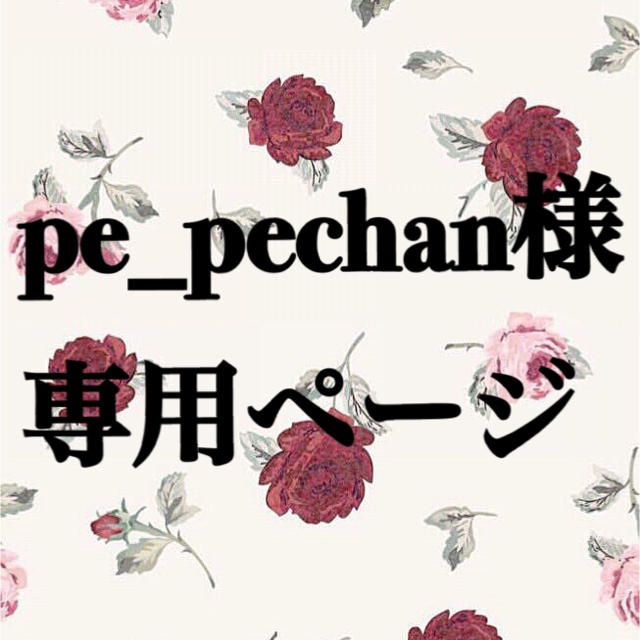 pe_pechan様専用ページ | フリマアプリ ラクマ