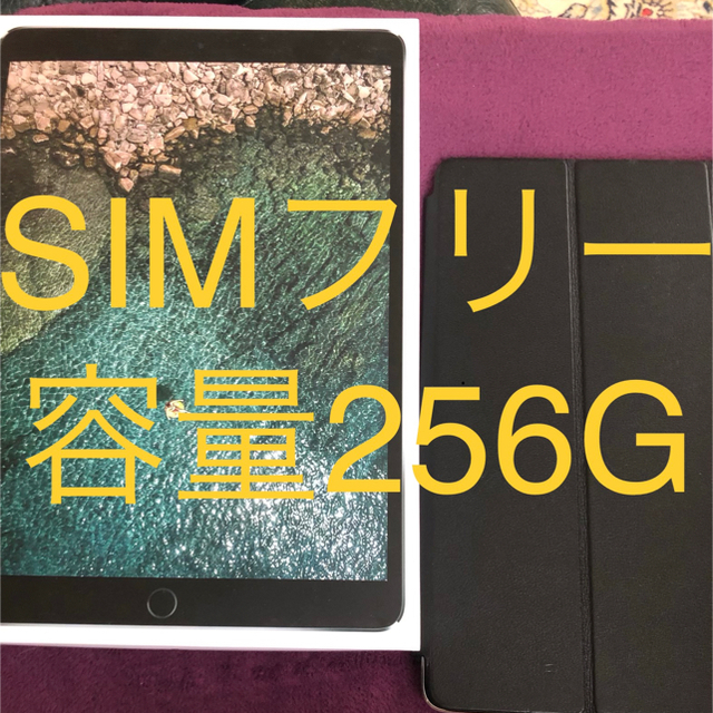 iPad Pro 10.5インチ 256G simフリー カバー付き