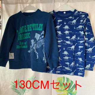 恐竜130セット(Tシャツ/カットソー)