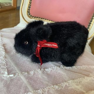 カネコイサオ エンタメ/ホビーの通販 16点 | KANEKO ISAOを買うならラクマ