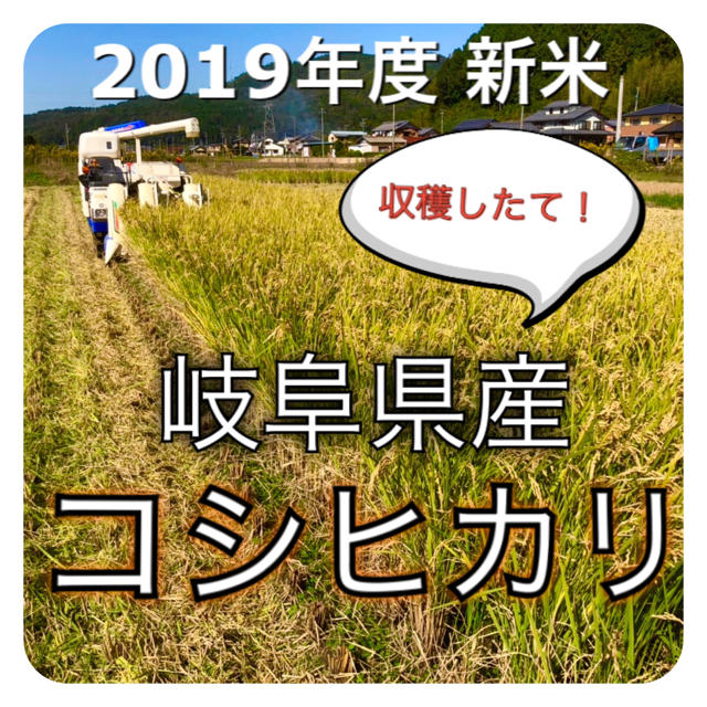 収穫したて！2019年新米 岐阜県産 コシヒカリ玄米20キロ米/穀物