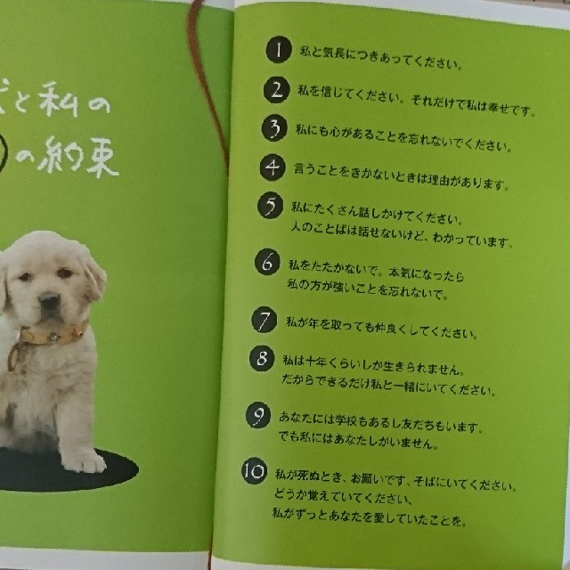 犬と私の10の約束 10 Promises To My Dog Japaneseclass Jp