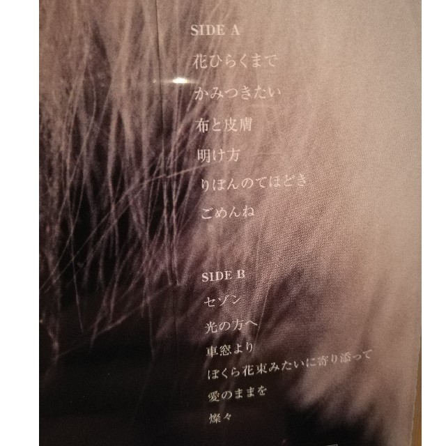 新品未開封 カネコアヤノ 燦々 LPレコード エンタメ/ホビーのタレントグッズ(ミュージシャン)の商品写真