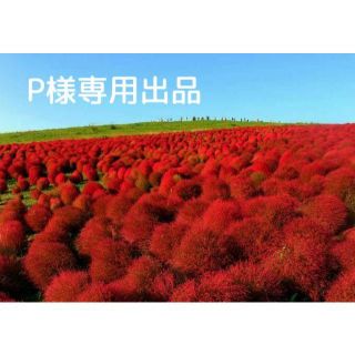 P様専用出品(リング(指輪))