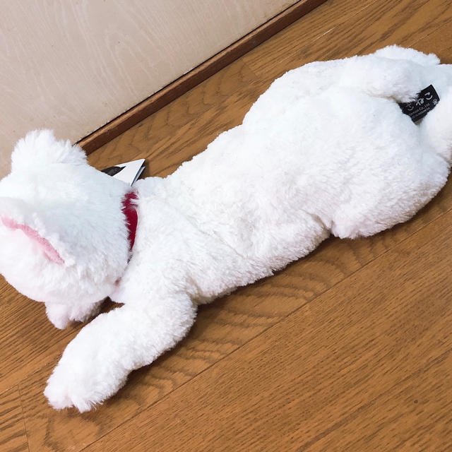 【専用】ひざねこ 白 猫 ぬいぐるみ エンタメ/ホビーのおもちゃ/ぬいぐるみ(ぬいぐるみ)の商品写真