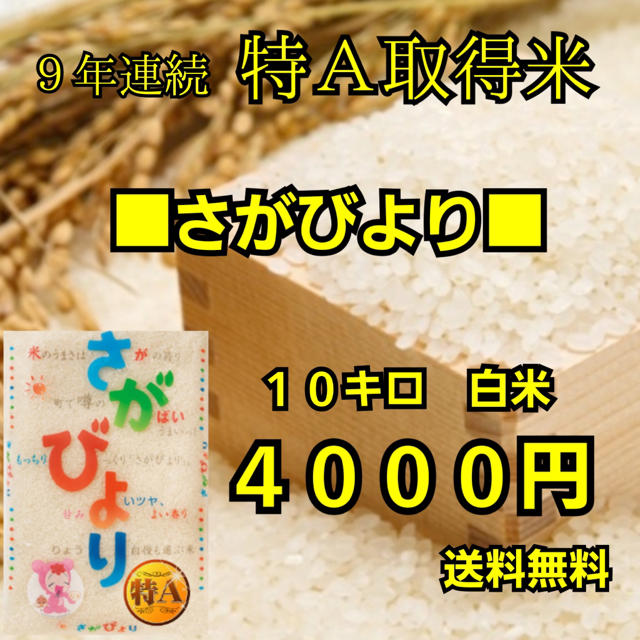 【数量限定】【即日発送】佐賀県産米【さがびより】白米10kg