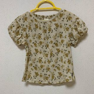 シマムラ(しまむら)のテータテート＊トップス(Tシャツ/カットソー)