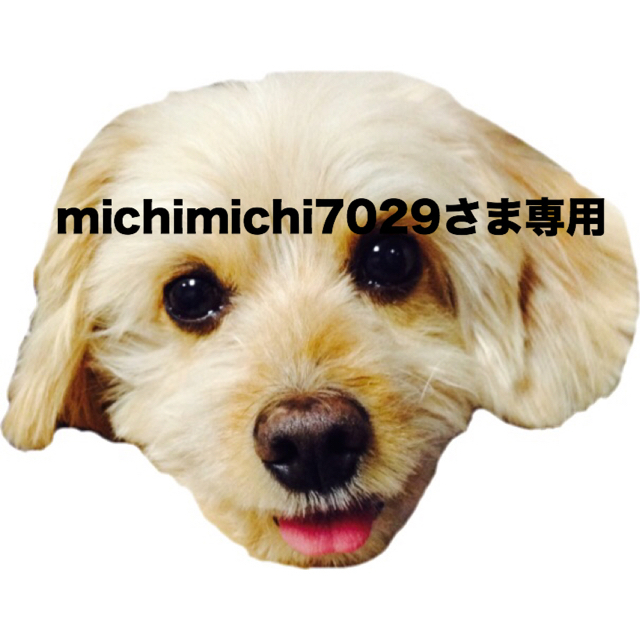 michimichi7029さま専用！！