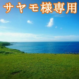 「サヤモ様専用❗」〈シルクスィート〉長崎県五島列島より(野菜)