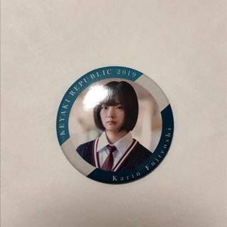 ケヤキザカフォーティーシックス(欅坂46(けやき坂46))の欅坂46 櫻坂46 藤吉夏鈴 欅共和国 2019 缶バッジ セット(アイドルグッズ)