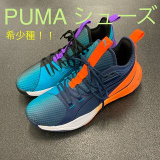 プーマ(PUMA)の美品/プーマ/PUMA/Uproar Hybrid Court ASG Fade(スニーカー)