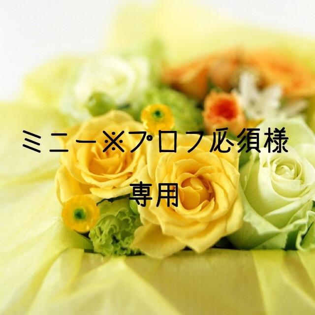 ミニー※プロフ必須様専用 H30 愛媛県産ヒノヒカリ 白米20㎏