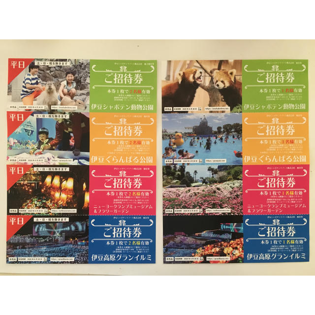 伊豆シャボテンリゾート 株主優待券セット ☆シャボテン公園 ぐらんばる公園 チケットの施設利用券(遊園地/テーマパーク)の商品写真