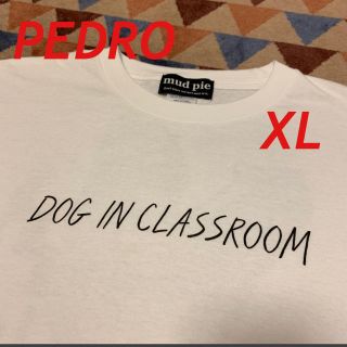 PEDRO アユニ・Ｄ リンガーTシャツ XXL