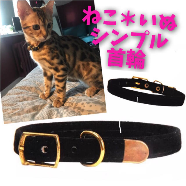 猫 犬 子猫 子犬 シンプル 首輪 ペット ねこ いぬ ウサギ うさぎ＊黒 その他のペット用品(猫)の商品写真