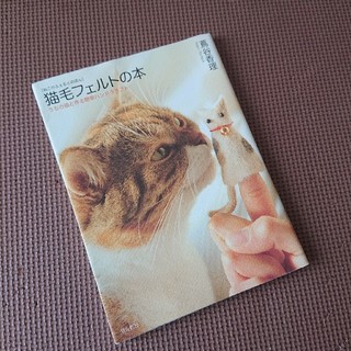 猫毛フェルトの本(趣味/スポーツ/実用)