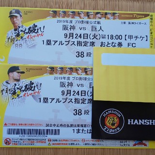 ハンシンタイガース(阪神タイガース)の9／24 阪神vs巨人、アルプス２枚連番。(野球)