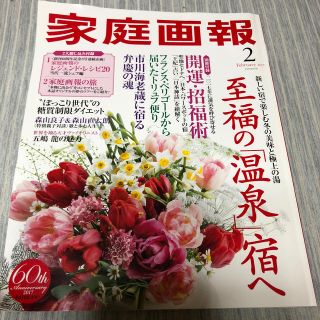 家庭画報 2017年 02月号 (ファッション)