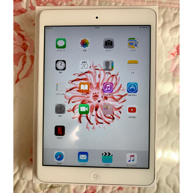 iPad mini