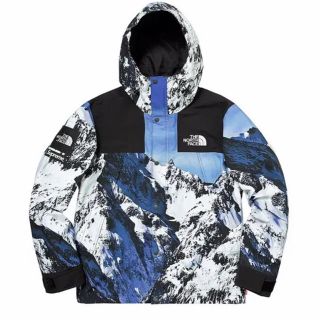 シュプリーム(Supreme)のSupreme thenorthface 雪山 マウンテンパーカー(マウンテンパーカー)