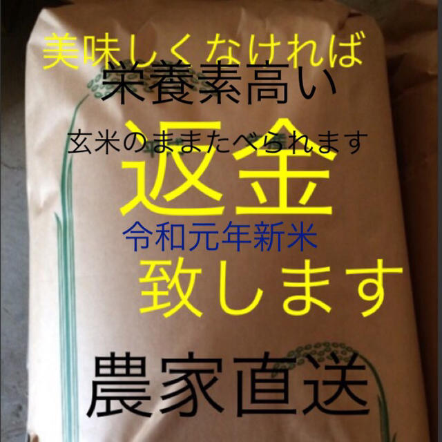 最高級 19日収穫 新米こしひかり 25㎏ 玄米 有機栽培食品/飲料/酒