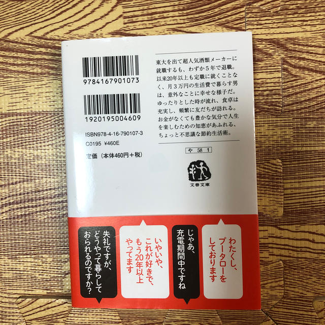 年収100万円の豊かな節約生活術 エンタメ/ホビーの本(住まい/暮らし/子育て)の商品写真