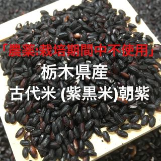 栃木県産 古代米 500g 「農薬:栽培期間中不使用」(米/穀物)