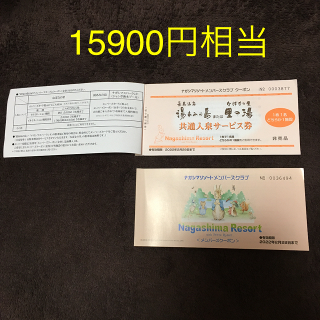 遊園地/テーマパーク15900円相当 ナガシマリゾートメンバーズクラブクーポン