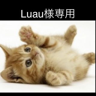 バスアンドボディーワークス(Bath & Body Works)のLuau様専用(ボディソープ/石鹸)