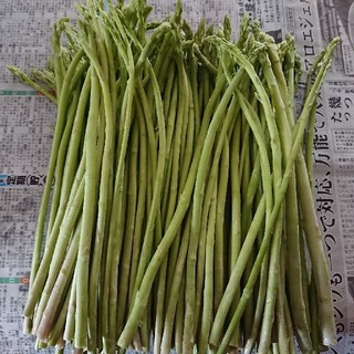 (えいたん様専用)佐賀県産グリーンアスパラ(野菜)
