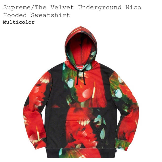 Supreme(シュプリーム)の【Mサイズ】Supreme Nico Hooded Sweatshirt メンズのトップス(パーカー)の商品写真