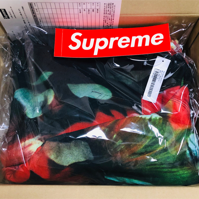 Supreme(シュプリーム)の【Mサイズ】Supreme Nico Hooded Sweatshirt メンズのトップス(パーカー)の商品写真