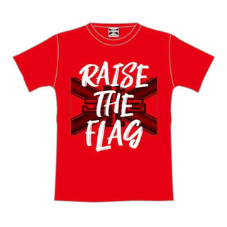 "RAISE THE FLAG "Tシャツ RED  Mサイズ(ミュージシャン)