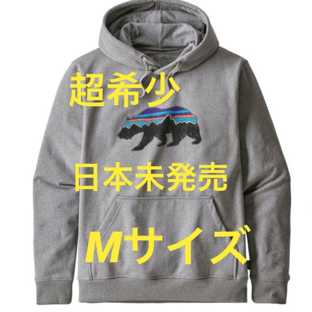 patagonia(パタゴニア)の超希少！日本未発売！パタゴニア プルオーバー パーカー メンズのトップス(パーカー)の商品写真