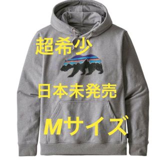 パタゴニア(patagonia)の超希少！日本未発売！パタゴニア プルオーバー パーカー(パーカー)