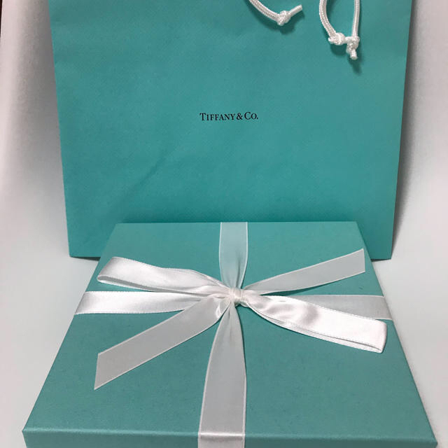 Tiffany & Co.(ティファニー)の【新品】ティファニー お皿 2枚セット  直径19センチ  箱と袋つき！ インテリア/住まい/日用品のキッチン/食器(食器)の商品写真